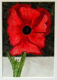Poppy I - Study for Throwaway People in a Black and White World