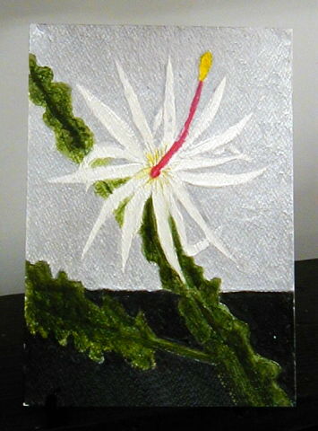 Night Blooming Cereus I