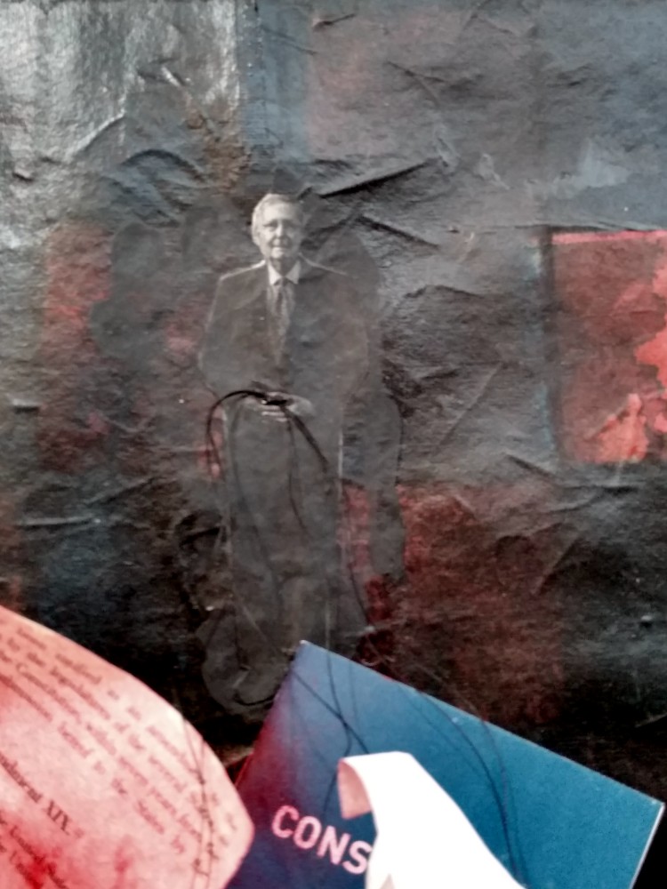 detail, Mitch Leaves His Mark, also know as The Jellyfish Who Stole the Constitution